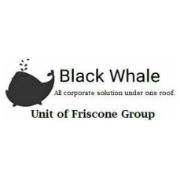 https://www.mncjobsindia.com/company/friscone-group