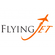 https://www.mncjobsindia.com/company/flying-jetstream-aviation-1609927785