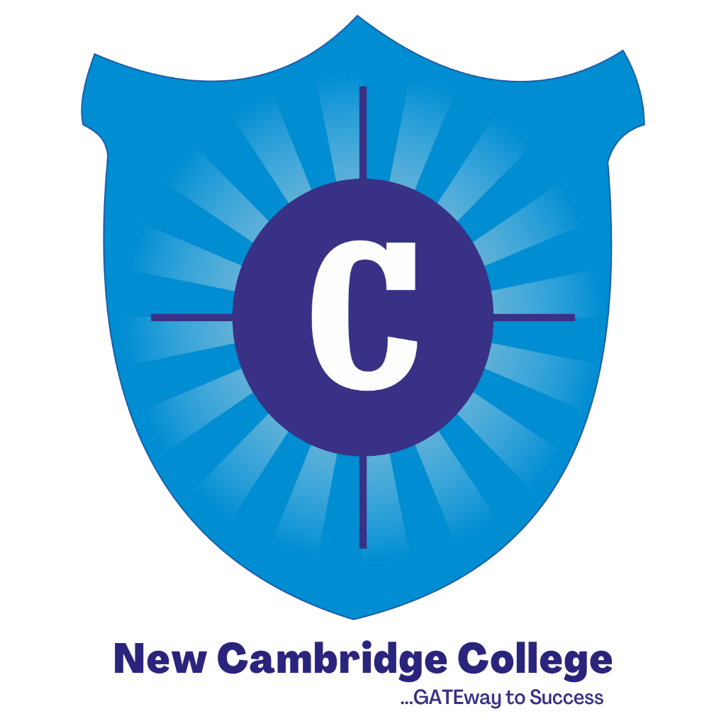 https://www.mncjobsindia.com/company/new-cambridge-college-1625824226