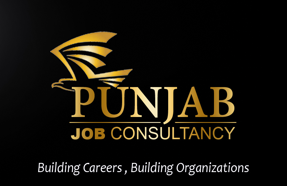 https://www.mncjobsindia.com/company/punjab-job-consultancy-1626096767