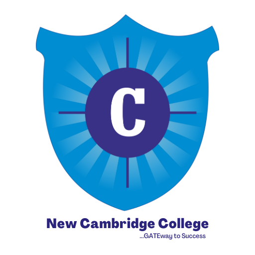 https://www.mncjobsindia.com/company/new-cambridge-college-1632909257