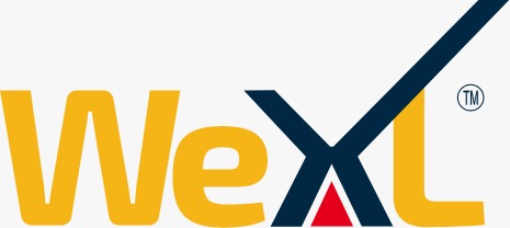 https://www.mncjobsindia.com/company/wexl-edu-pvt-ltd